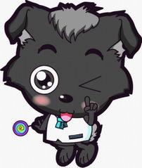 小灰灰最新密码爆料,网络红人密码大曝光  第2张